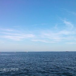 涼しい半夜でチヌ&グレ!