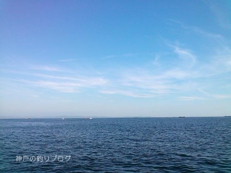 涼しい半夜でチヌ&グレ!