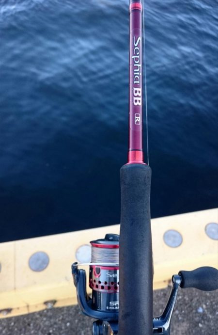 サゴシ・アジ・ボラ