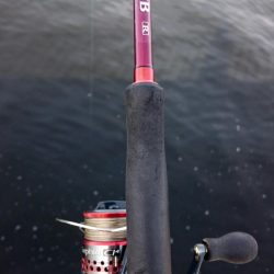 アジは好調継続中