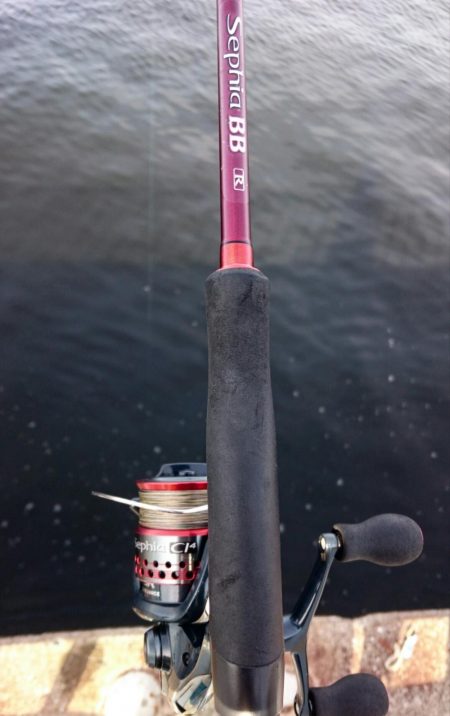 アジは好調継続中