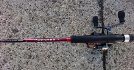 今日は癒しのアジ