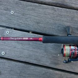 大阪市内タチウオ調査&アジング