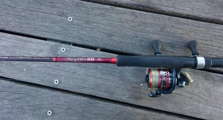 大阪市内タチウオ調査&アジング