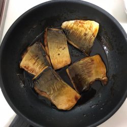 淡路島でショアジキ+ワインド