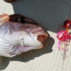 遊漁船 ニライカナイ 釣果