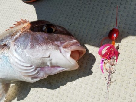 遊漁船 ニライカナイ 釣果