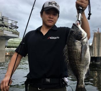 シーマジカル 釣果