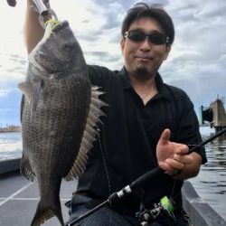 シーマジカル 釣果