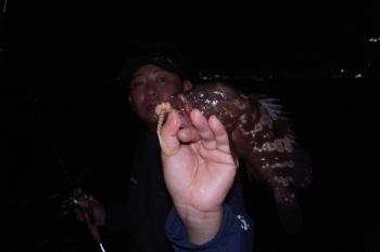 シーマジカル 釣果