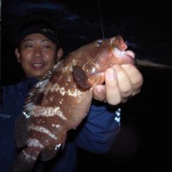 シーマジカル 釣果