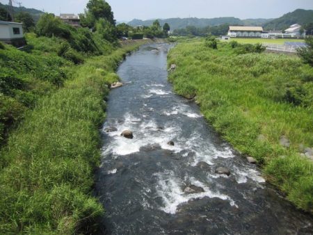 狩野川(狩野川漁業協同組合) 釣果