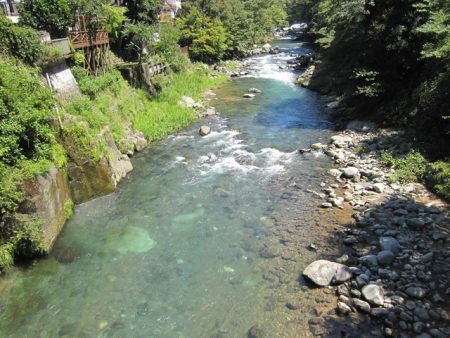 狩野川(狩野川漁業協同組合) 釣果