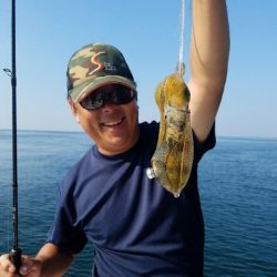 Magic（マジック） 釣果