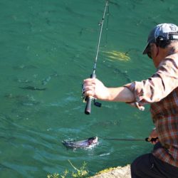 小菅トラウトガーデン 釣果