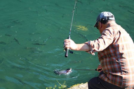 小菅トラウトガーデン 釣果