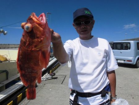 大進丸(新潟) 釣果