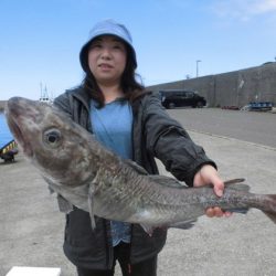 大進丸(新潟) 釣果