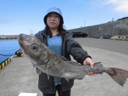 大進丸（新潟） 釣果