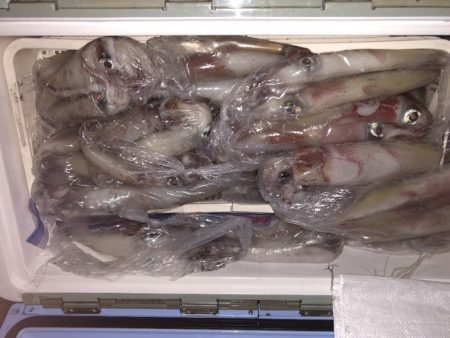 幸風（さちかぜ） 釣果