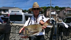 まこと渡船 釣果