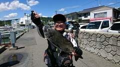 まこと渡船 釣果