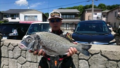 まこと渡船 釣果