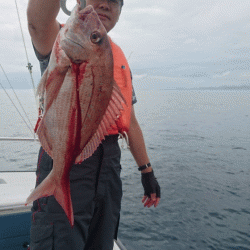 遊漁船ブルーウッズ 釣果