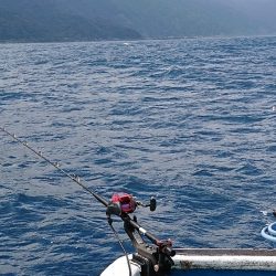 龍神丸(福井) 釣果