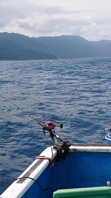 龍神丸(福井) 釣果