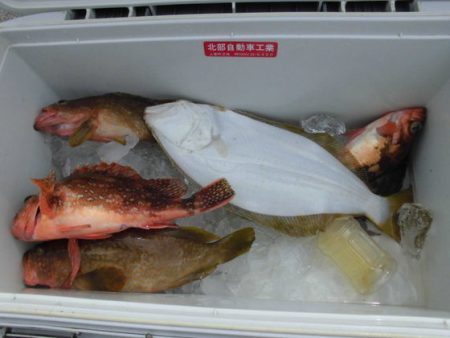 大進丸（新潟） 釣果