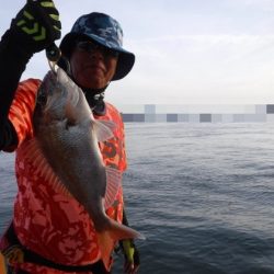 遊漁船 幸友丸 釣果