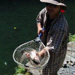 小菅トラウトガーデン 釣果