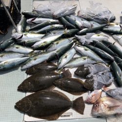 ふじしめ丸 釣果