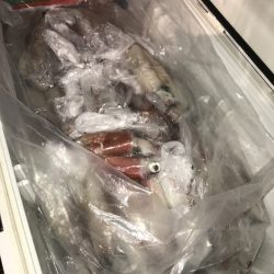 寿裕 （YOSHIHIRO） 釣果