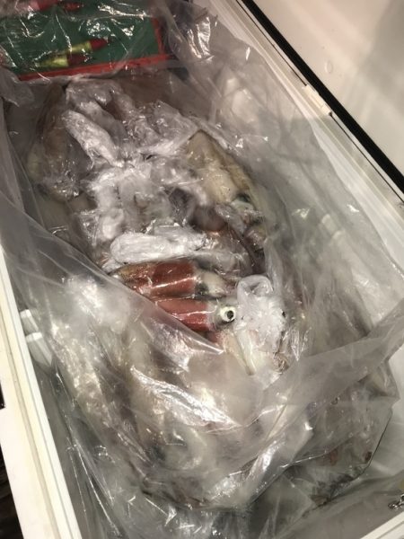 寿裕 （YOSHIHIRO） 釣果