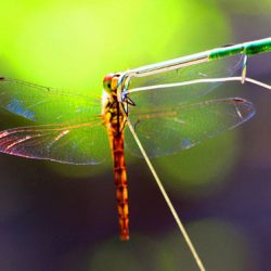 小菅トラウトガーデン 釣果