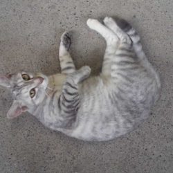 高萩ふれあいの里フィッシングエリア 釣果