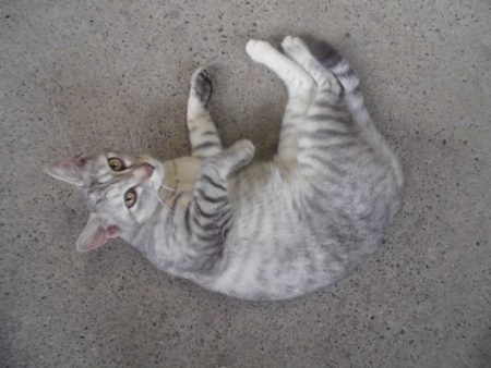 高萩ふれあいの里フィッシングエリア 釣果