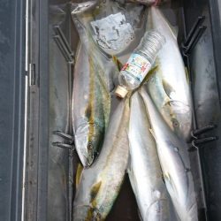 龍神丸(福井) 釣果