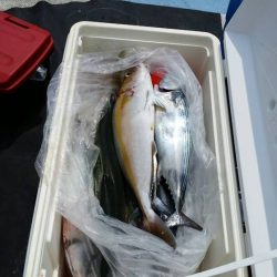 第五慶門丸 釣果