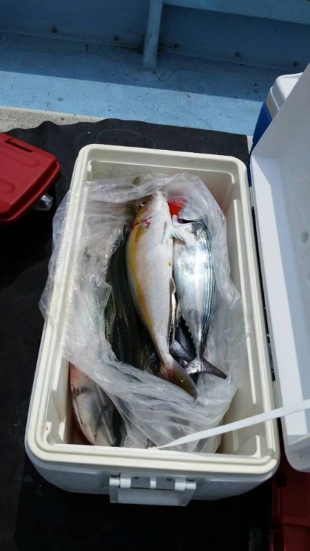 第五慶門丸 釣果