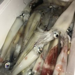 寿裕 （YOSHIHIRO） 釣果