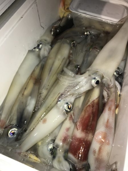 寿裕 （YOSHIHIRO） 釣果