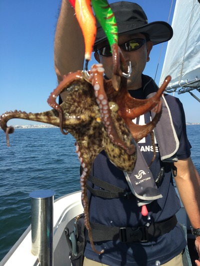 ミタチ丸 釣果