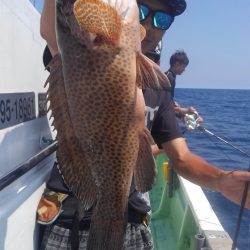 遊漁船 新鋭丸 釣果