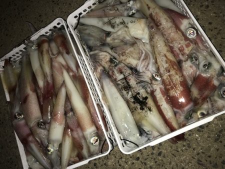 寿裕 （YOSHIHIRO） 釣果