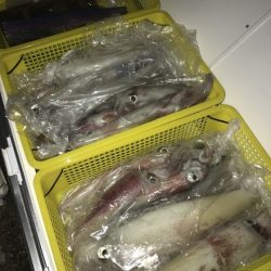 寿裕 （YOSHIHIRO） 釣果