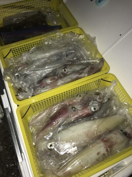 寿裕 （YOSHIHIRO） 釣果