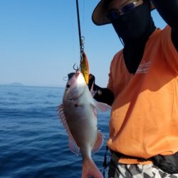 遊漁船 ニライカナイ 釣果
